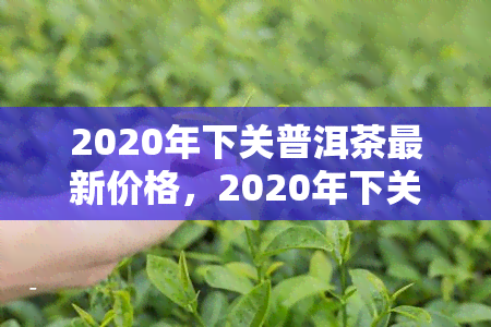 2020年下关普洱茶最新价格，2020年下关普洱茶市场价格一览