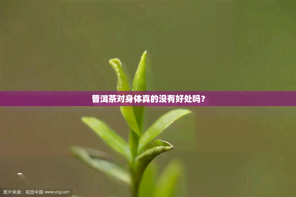 普洱茶对身体真的没有好处吗？