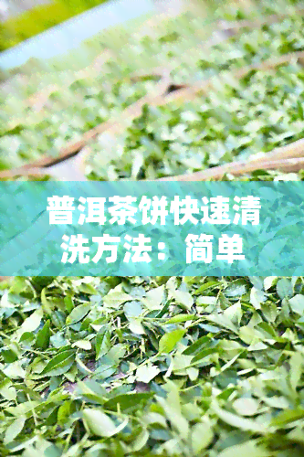 普洱茶饼快速清洗方法：简单视频教程