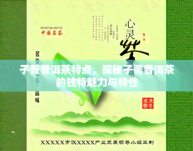 子箐普洱茶特点，探秘子箐普洱茶的独特魅力与特性