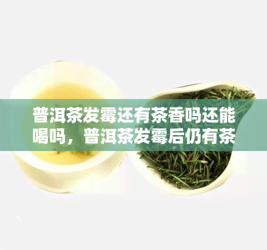 普洱茶发霉还有茶香吗还能喝吗，普洱茶发霉后仍有茶香，是否还能饮用？