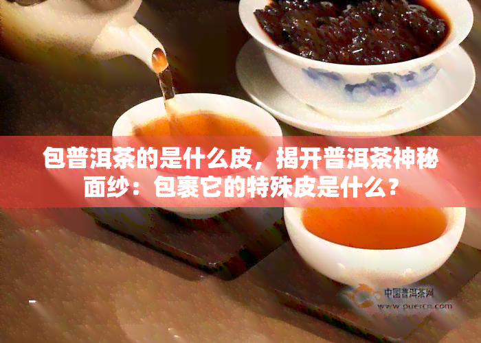 包普洱茶的是什么皮，揭开普洱茶神秘面纱：包裹它的特殊皮是什么？