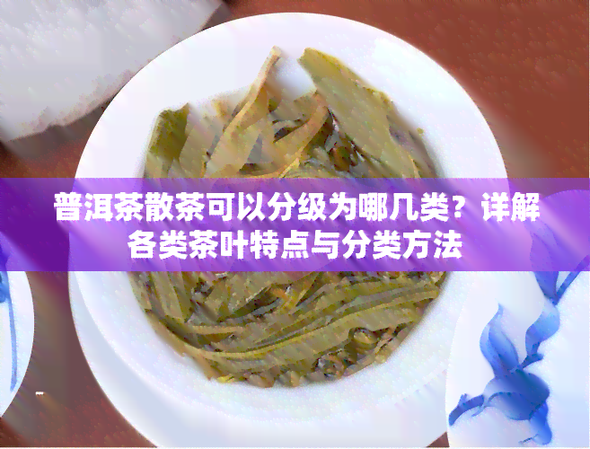 普洱茶散茶可以分级为哪几类？详解各类茶叶特点与分类方法