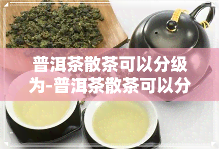 普洱茶散茶可以分级为-普洱茶散茶可以分级为几级茶