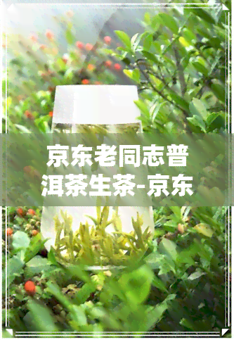 京东老同志普洱茶生茶-京东老同志普洱茶旗舰店