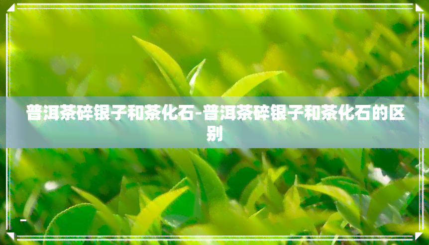 普洱茶碎银子和茶化石-普洱茶碎银子和茶化石的区别