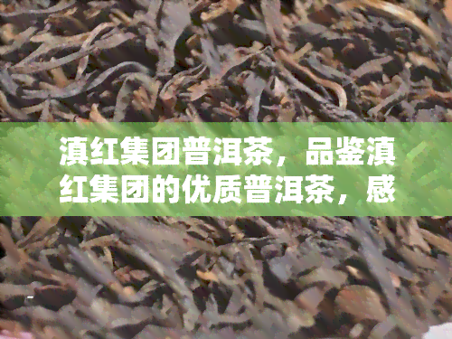 滇红集团普洱茶，品鉴滇红集团的优质普洱茶，感受云南茶文化的独特魅力！