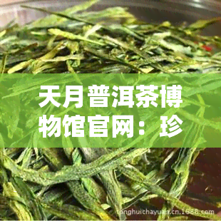 天月普洱茶博物馆官网：珍藏玖拾年代红印甲级沱的价格