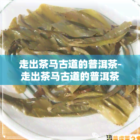 走出茶马古道的普洱茶-走出茶马古道的普洱茶