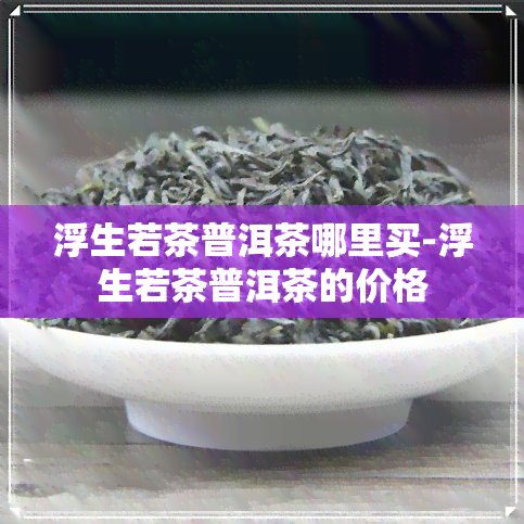 浮生若茶普洱茶哪里买-浮生若茶普洱茶的价格