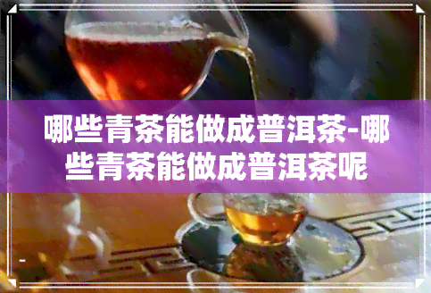 哪些青茶能做成普洱茶-哪些青茶能做成普洱茶呢