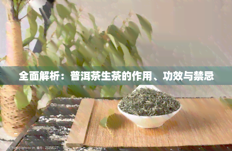 全面解析：普洱茶生茶的作用、功效与禁忌