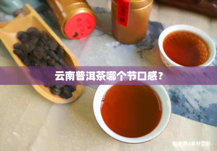 云南普洱茶哪个节口感？