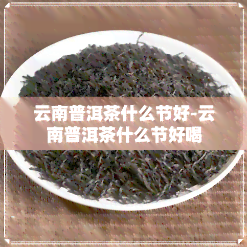 云南普洱茶什么节好-云南普洱茶什么节好喝