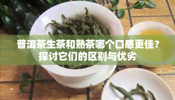 普洱茶生茶和熟茶哪个口感更佳？探讨它们的区别与优劣