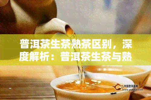 普洱茶生茶熟茶区别，深度解析：普洱茶生茶与熟茶的五大区别