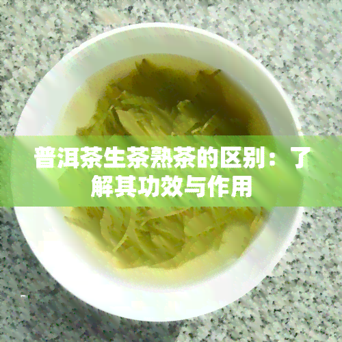 普洱茶生茶熟茶的区别：了解其功效与作用