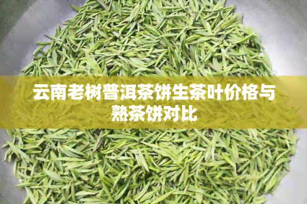 云南老树普洱茶饼生茶叶价格与熟茶饼对比