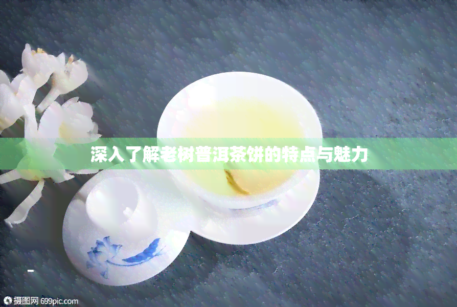 深入了解老树普洱茶饼的特点与魅力