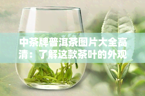 中茶牌普洱茶图片大全高清：了解这款茶叶的外观与品质