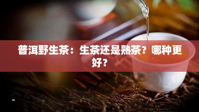 普洱野生茶：生茶还是熟茶？哪种更好？