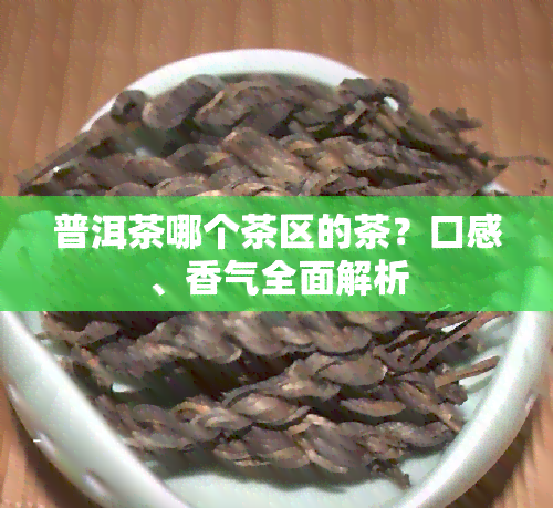 普洱茶哪个茶区的茶？口感、香气全面解析