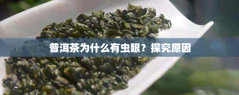 普洱茶为什么有虫眼？探究原因