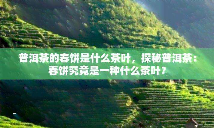 普洱茶的春饼是什么茶叶，探秘普洱茶：春饼究竟是一种什么茶叶？