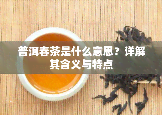 普洱春茶是什么意思？详解其含义与特点