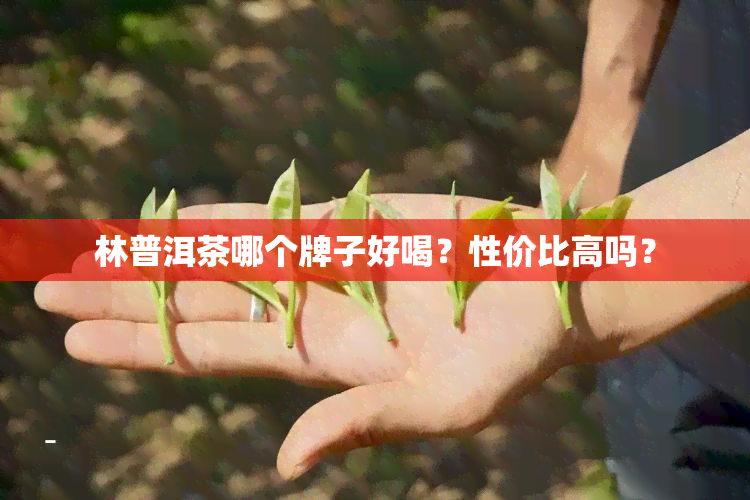 林普洱茶哪个牌子好喝？性价比高吗？