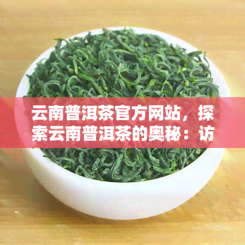 云南普洱茶官方网站，探索云南普洱茶的奥秘：访问官方在线平台