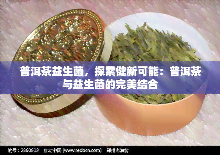 普洱茶益生菌，探索健新可能：普洱茶与益生菌的完美结合