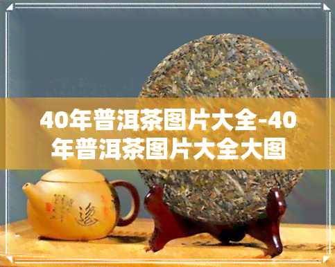 40年普洱茶图片大全-40年普洱茶图片大全大图