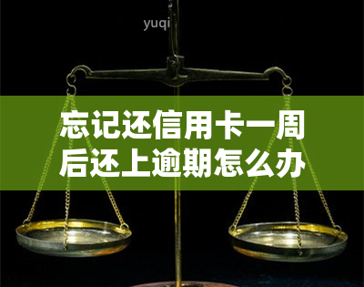 忘记还信用卡一周后还上逾期怎么办？及时处理避免进一步影响