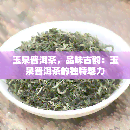 玉泉普洱茶，品味古韵：玉泉普洱茶的独特魅力