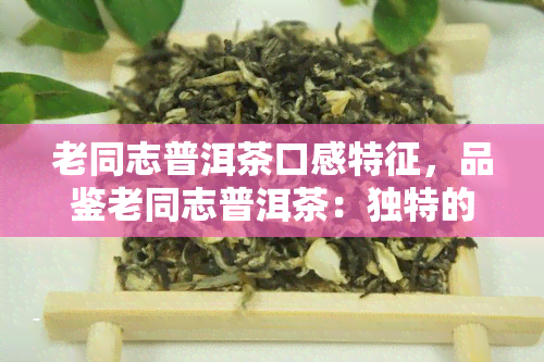 老同志普洱茶口感特征，品鉴老同志普洱茶：独特的口感特征解析