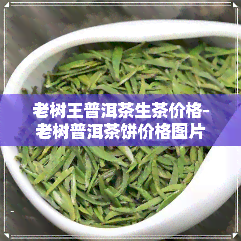 老树王普洱茶生茶价格-老树普洱茶饼价格图片