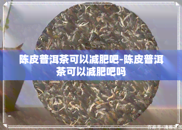 陈皮普洱茶可以减肥吧-陈皮普洱茶可以减肥吧吗