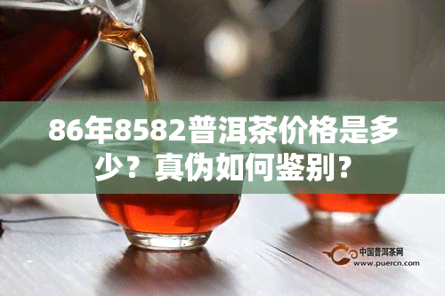 86年8582普洱茶价格是多少？真伪如何鉴别？