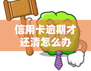 信用卡逾期才还清怎么办，信用卡逾期未还清，如何解决？