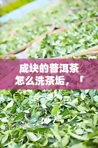 成块的普洱茶怎么洗茶垢，「详细教程」如何清洗成块的普洱茶垢？