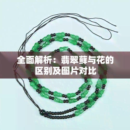 全面解析：翡翠藓与花的区别及图片对比