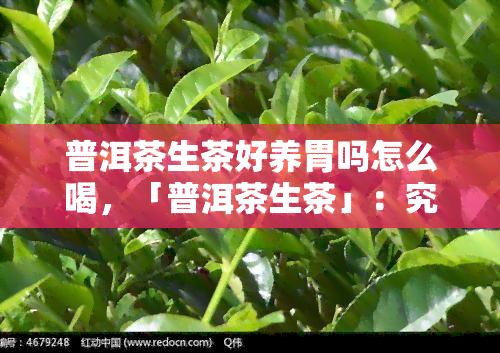 普洱茶生茶好养胃吗怎么喝，「普洱茶生茶」：究竟是否好养胃？正确的饮用方法是什么？