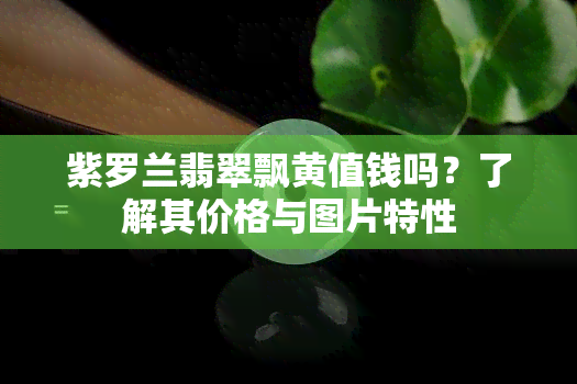 紫罗兰翡翠飘黄值钱吗？了解其价格与图片特性