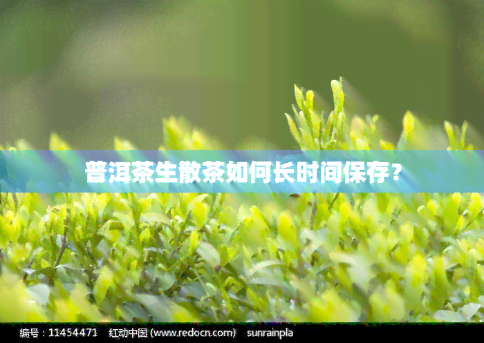 普洱茶生散茶如何长时间保存？