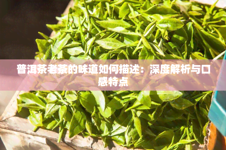 普洱茶老茶的味道如何描述：深度解析与口感特点