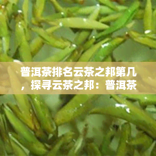 普洱茶排名云茶之邦第几，探寻云茶之邦：普洱茶排名揭秘