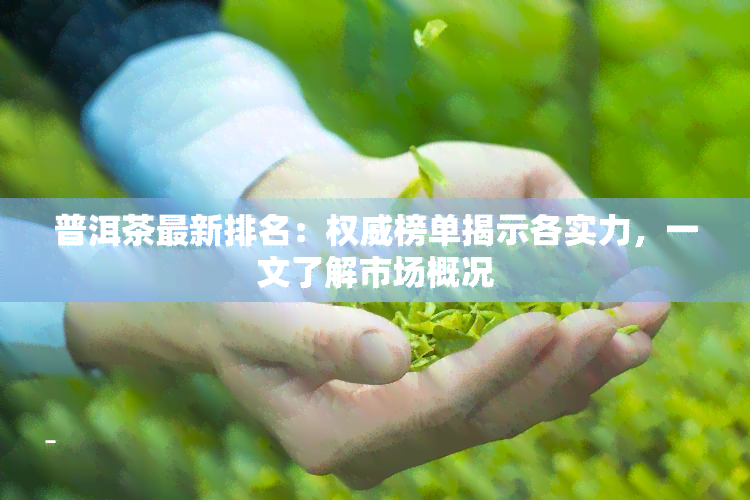 普洱茶最新排名：权威榜单揭示各实力，一文了解市场概况