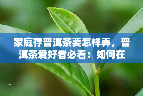 家庭存普洱茶要怎样弄，普洱茶爱好者必看：如何在家里地存普洱茶？