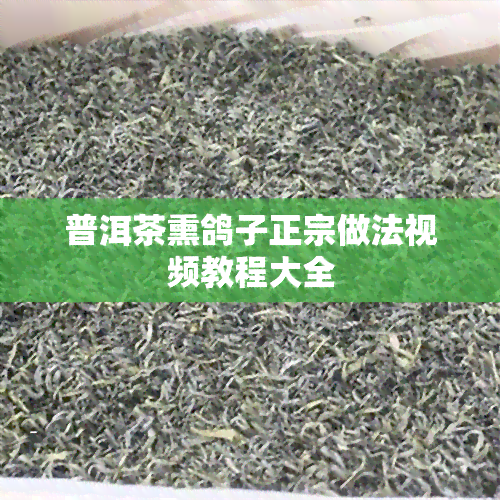 普洱茶熏鸽子正宗做法视频教程大全